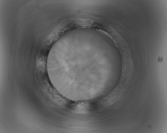 X0000115720720200912031551