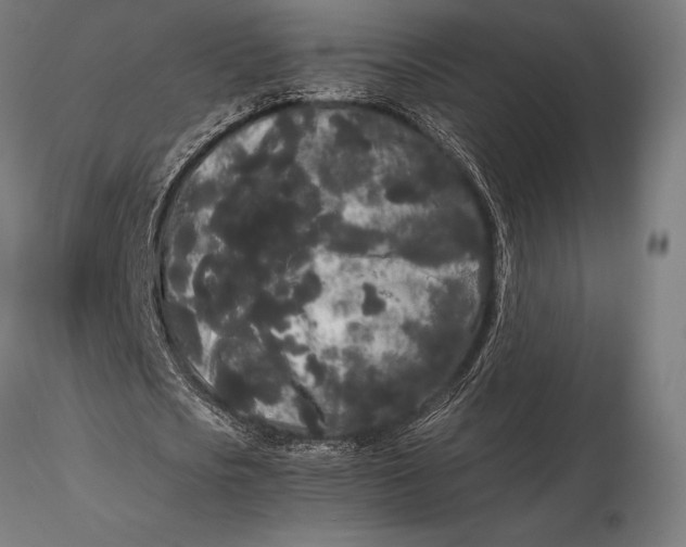 X0000115720721200912031550