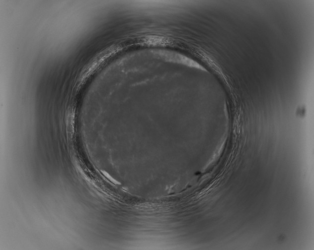 X0000115720722200912031550