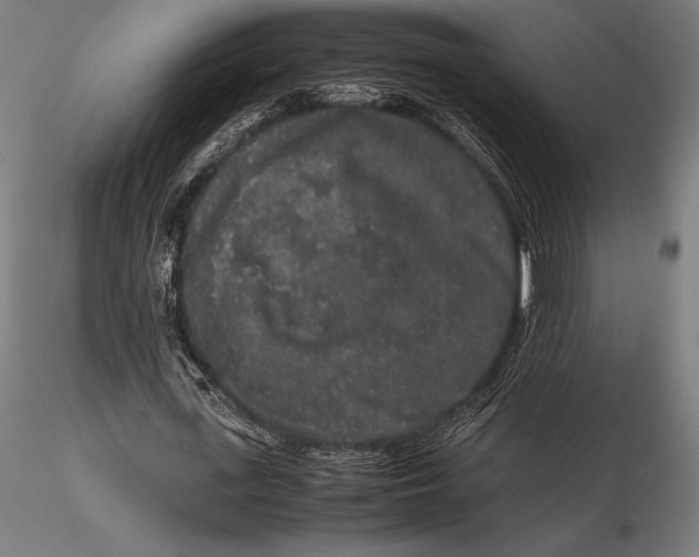 X0000115720723200912031550