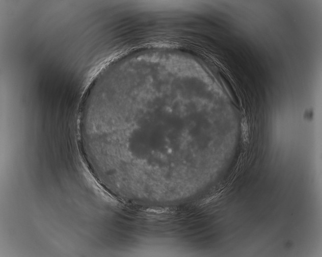 X0000115720725200912031550