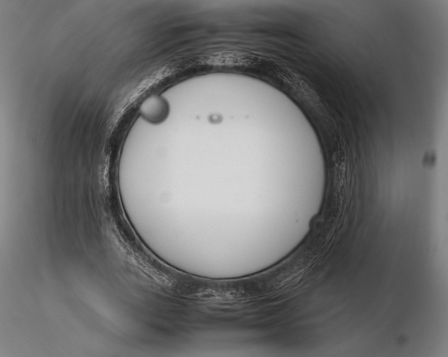 X0000115720727200912031550