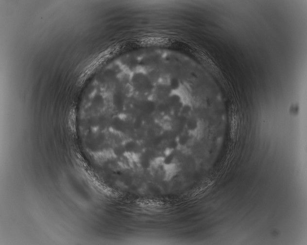 X0000115720729200912031550