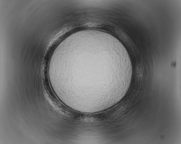 X0000115720730200912031550