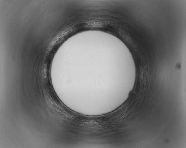 X0000115720731200912031550