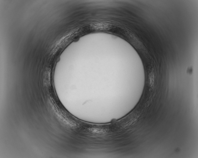 X0000115720733200912031550