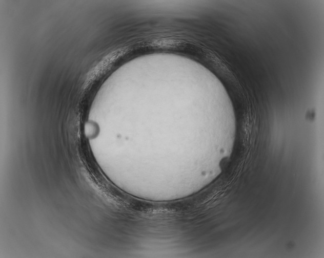 X0000115720734200912031550