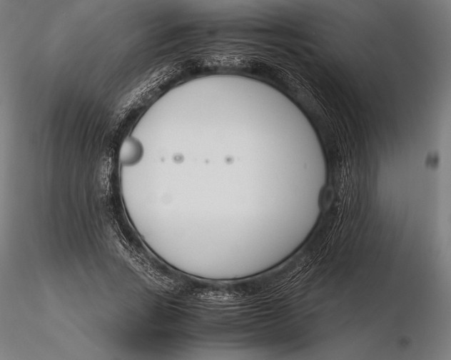 X0000115720735200912031550