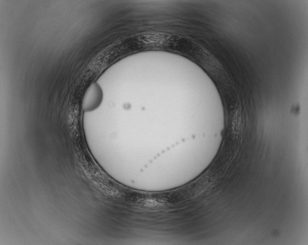 X0000115720737200912031550