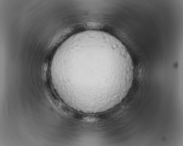 X0000115720742200912031550