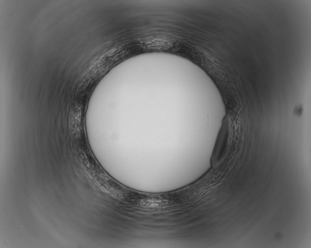 X0000115720745200912031550
