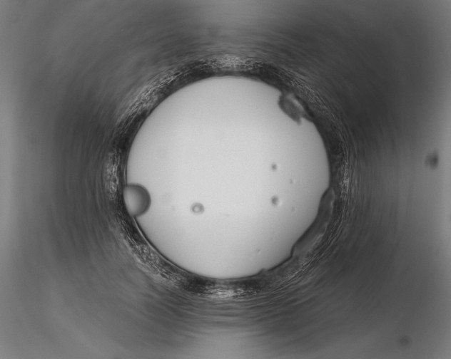 X0000115720746200912031550