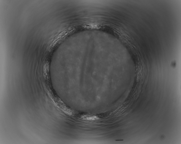 X0000115720747200912031550