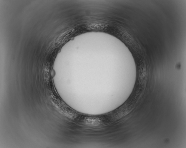 X0000115720749200912031550