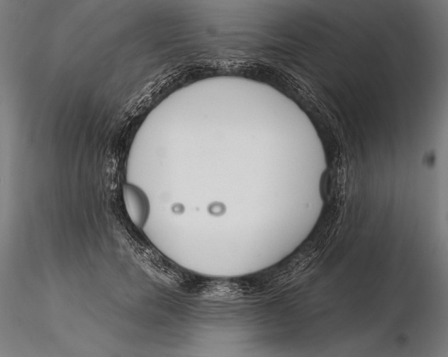 X0000115720750200912031550