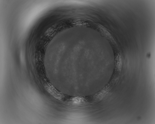 X0000115720762200912031551