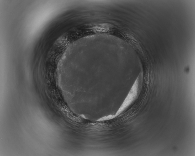 X0000115720763200912031551