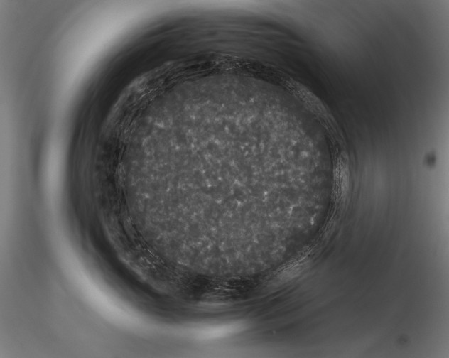X0000115720765200912031551