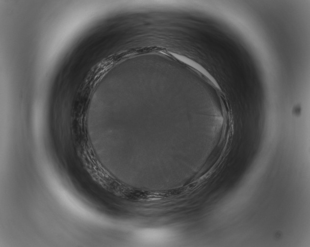 X0000115720766200912031551