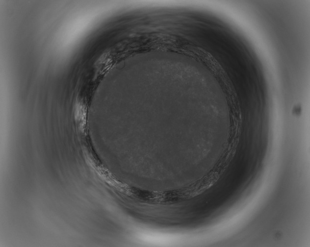 X0000115720767200912031551