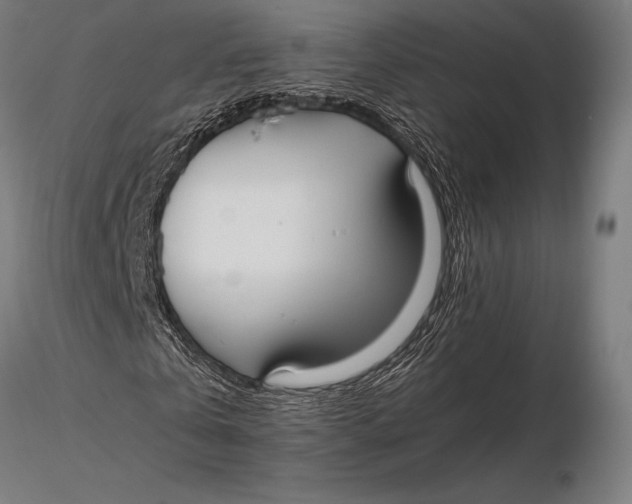 X0000115720769200912031550