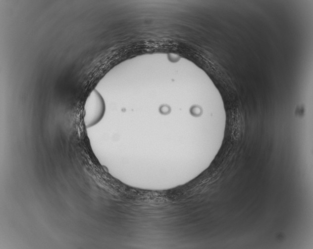 X0000115720770200912031550