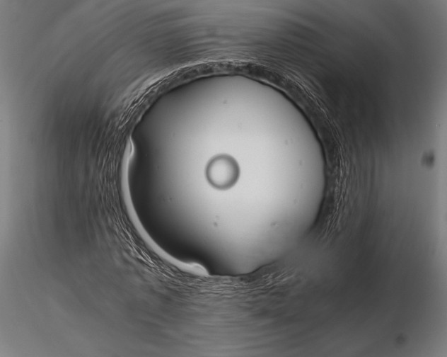 X0000115720773200912031550