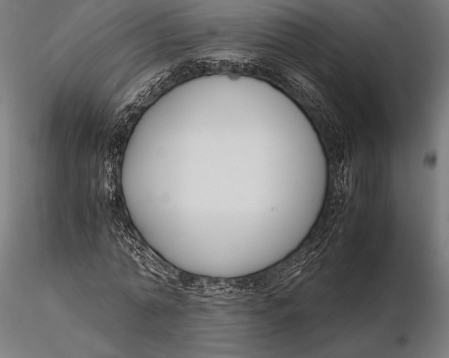 X0000115720774200912031550