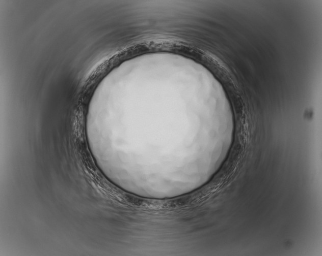 X0000115720775200912031550