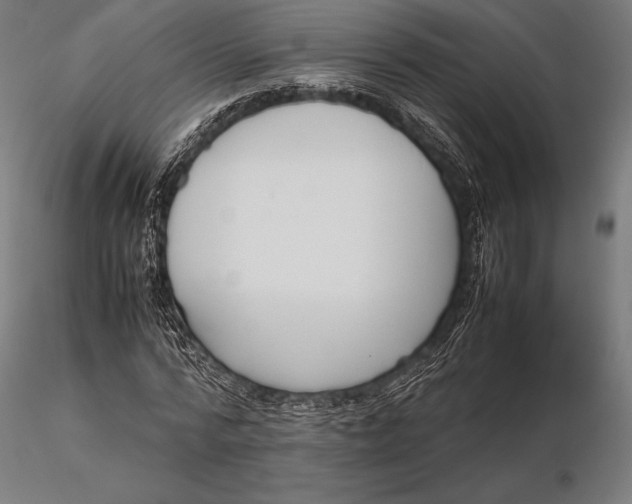 X0000115720776200912031550