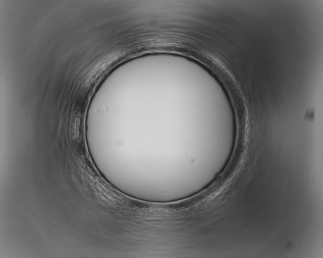 X0000115720777200912031550