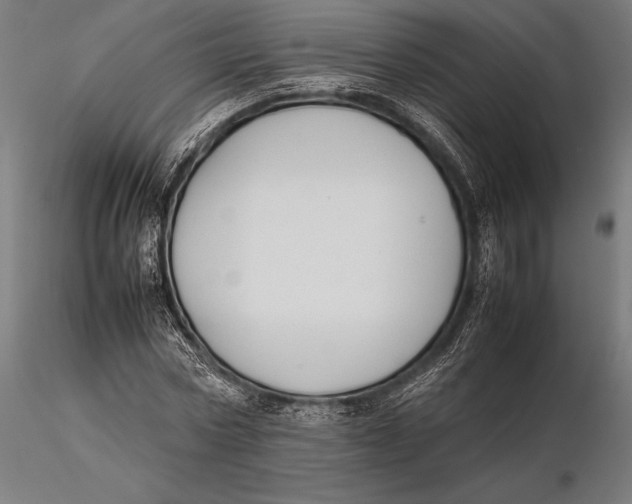 X0000115720778200912031550
