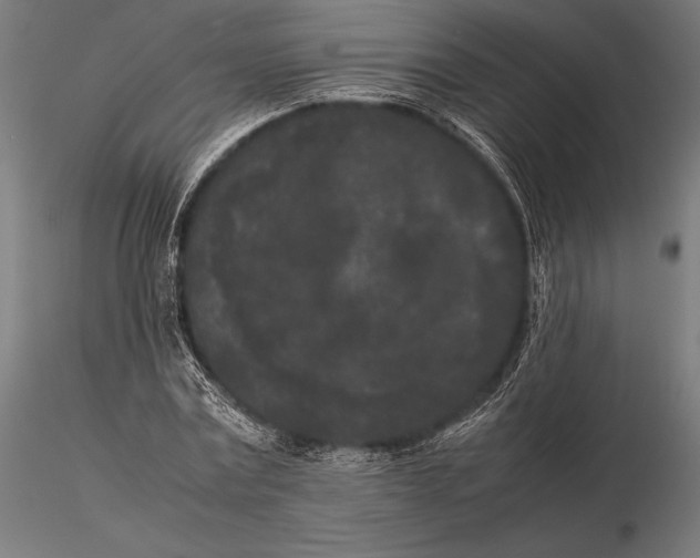 X0000115720779200912031550