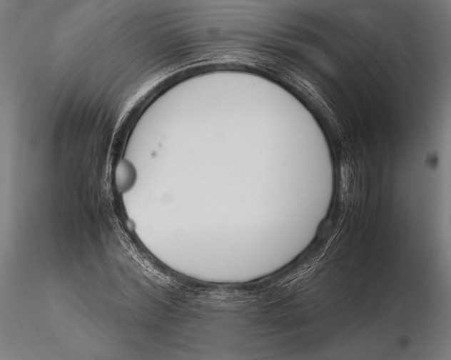 X0000115720780200912031550