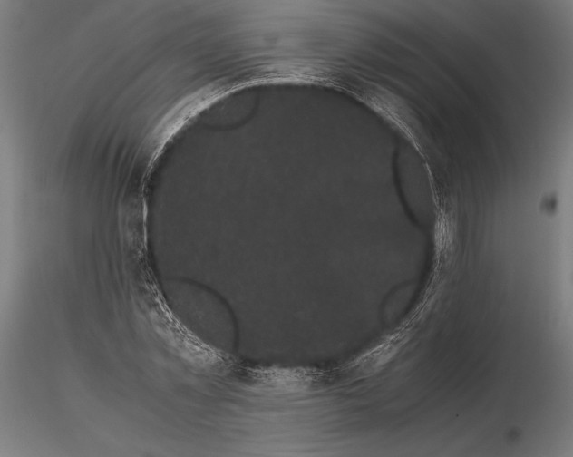 X0000115720781200912031550