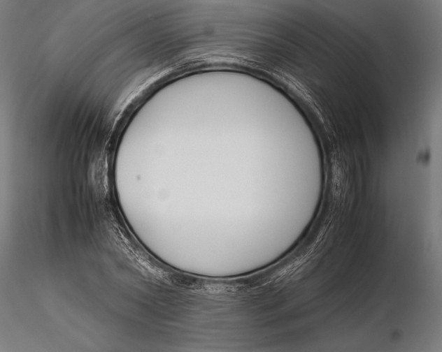 X0000115720782200912031550