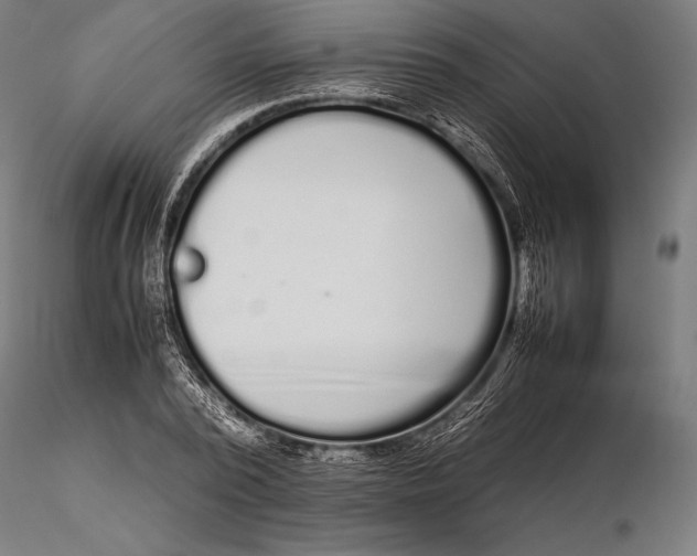 X0000115720784200912031550