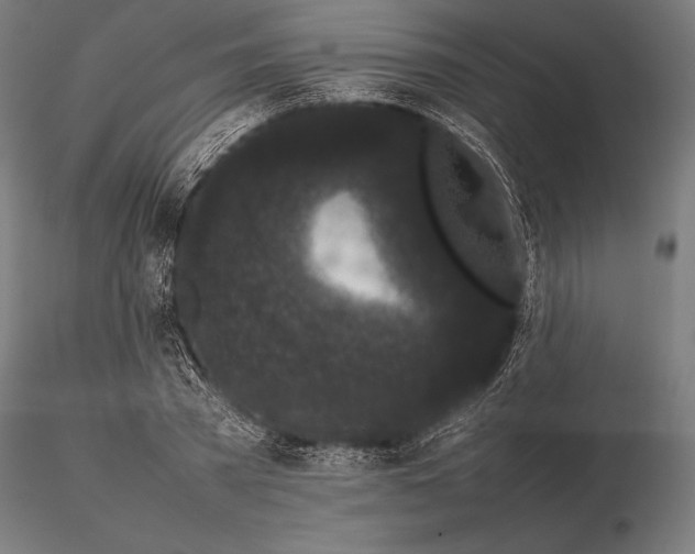 X0000115720785200912031550