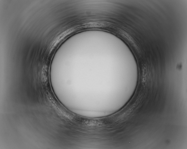 X0000115720786200912031550