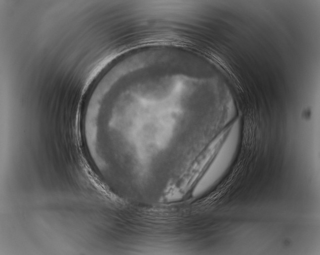 X0000115720788200912031550