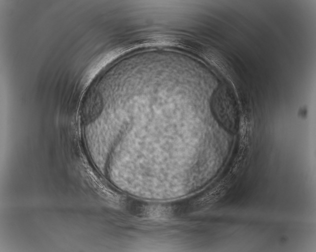 X0000115720789200912031550