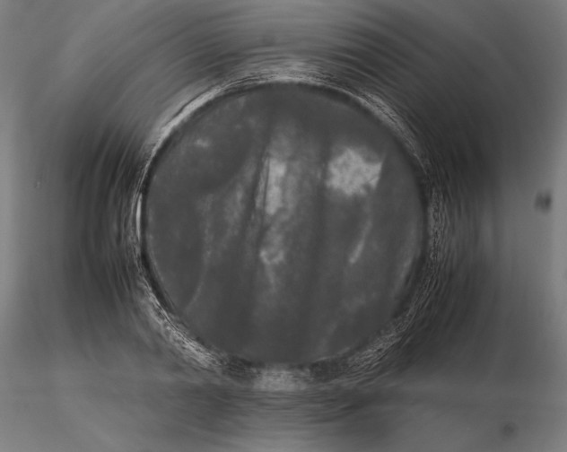 X0000115720790200912031550