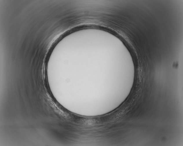 X0000115720791200912031550