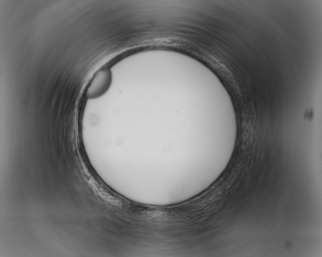 X0000115720792200912031550