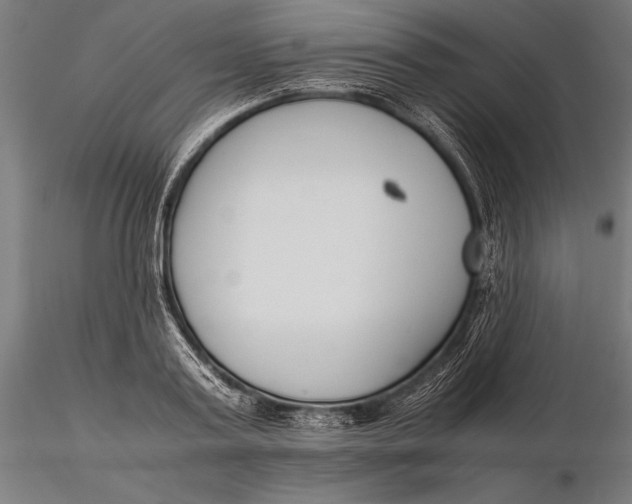 X0000115720795200912031550