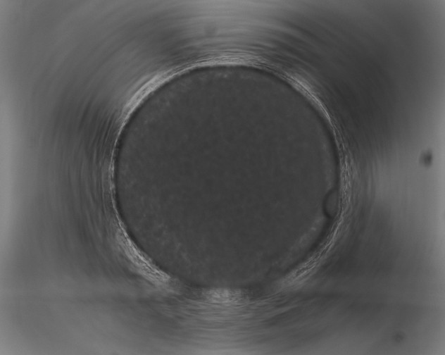 X0000115720797200912031550