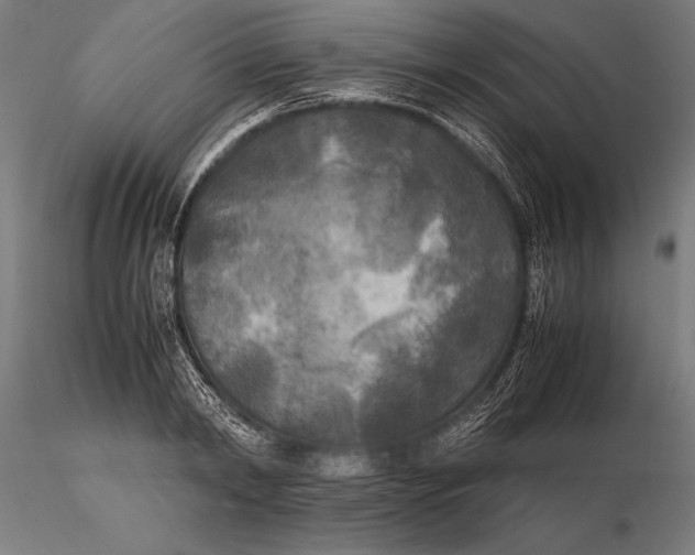 X0000115720798200912031550