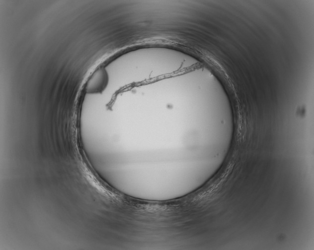 X0000115720800200912031550