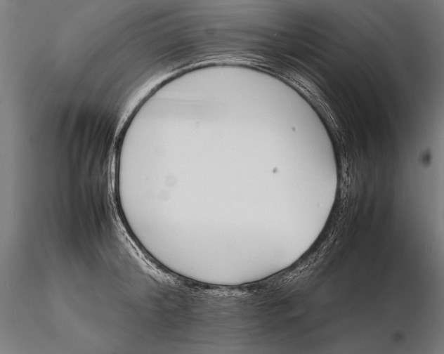 X0000115720804200912031550