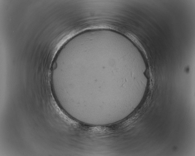 X0000115720805200912031550